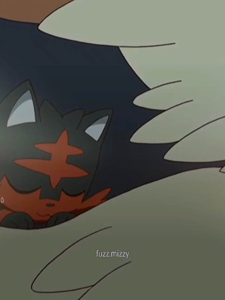 #LITTEN // words can't describe how much I love litten 🤍🤍 ୧ ‧₊˚ I hated the episode where stoutland died 😬💔 #fyp #foryou #foryoupage #litten #littenpokemon  #littenpokemonsunandmoon  #littenpokemonedit  #animepokemonedits #animepokemoneditor #editpokemonsunandmoon  #editorpokemonanime #pokemonsunandmoon  #pokemonsunandmoonultraadventures  #pokemonsunandmoonultralegends  #pokemonmaster #pokemonsunandmoonanime  #pokemonsunandmoonedit  #pokemonsunandmoon  #pokemon #pokemontiktok #pokemonedit #pokemonedits #pokemonlitten  #littenpokemon #littenpokemonsunandmoon  #littenpokemonedit  #fyppppppppppppppppppppppp #fypシ゚ #pokemoncommunity #pokemonash #pokemonashketchum #pokemonstoutland #stoutland #stoutlandpokemon 