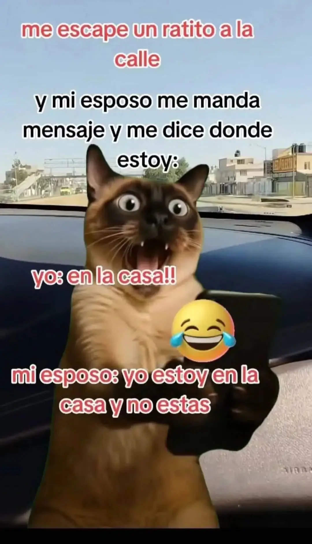 Cualquier paresido con la realized es considencia 😂😂