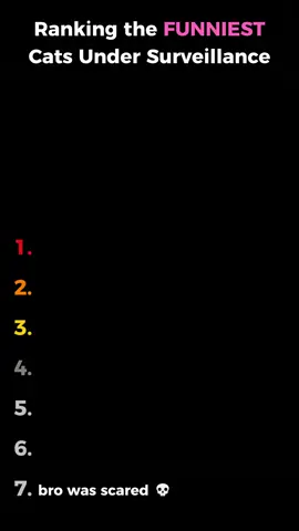 Ranking the Funniest Cats Under Surveillance #fyp #ranking #clips #moments #funnymoments #funny #cats