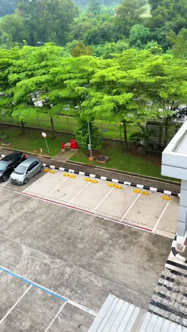 #kulipabrikkarawang #kulipabrikcikarang #ahm #pabriktahukarwang #wongtulus #karawangjawabarat 