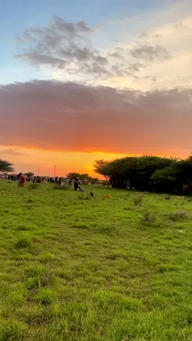 Yaad jeclan lahayd inad halkan wakhti kula qadato🩵#somolilandtiktok💚🤍❤️ #virel_video 