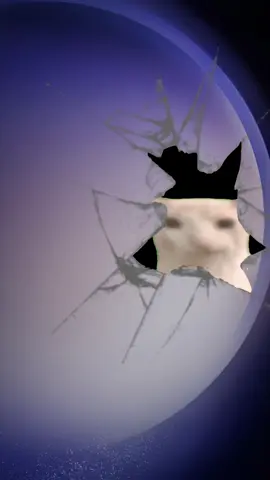 Me mira raro el gato #gato #gatocomiendo #wallpaper #livewallpaper #fondodepantalla #fyp #papas #gatos #CapCut 