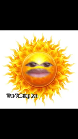 গরম কি আরেকটু বাড়ান লাগবো নাকি?🙄#tiktok #talkingbro 