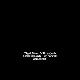 #keşfet #vandijk #edit #pogba #plyyyyyyyyyyyyy5yyyyyyyyyyy #colepalmer #tiktokbeniöneçıkart #efutbol #efutbol #keşfet 
