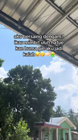 #fypシ゚viral🖤tiktok #fyppppppppppppppppppppppp #fypシ゚ #bahasadayakngaju #akubersaingdengan?ikaumimbituluhhatuekanhumaginakunakujadikalah 