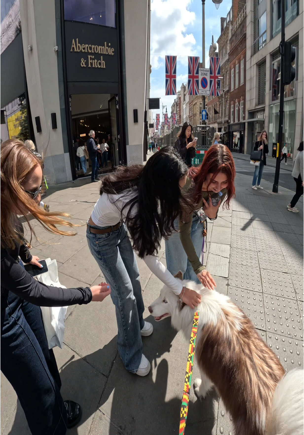 Interactions with my dog!!  #husky #viral #fyp #foryou #london #PetsOfTikTok #violasnow #famous 
