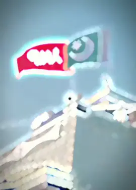 Pakistan zindabad ANP zindabad 💞💞#fyp #foryoupage #viralvideo #tiktok #supportaccount #accountunprez #please 