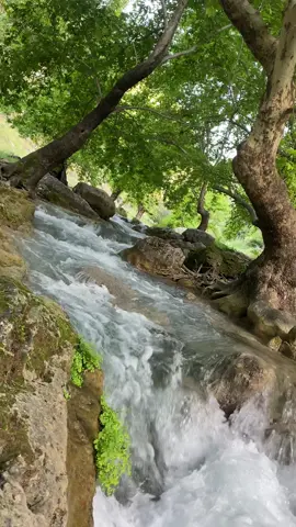 ساڵ بە ساڵ خوزگەم بە پار🥺💚🌊#fypシ゚ #virall #explore #selwa🦋 #tiktok #foryou 