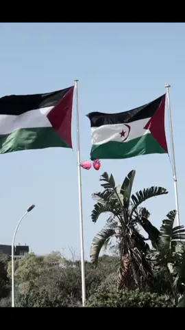 #عهد_الوفاء_للجبهة_10ماي_مسيره_التحرير_مستمرة #الصحراء_الغربية🇪🇭 #western_sahara #اكسبلورexplore #western_sahara🇪🇭 #CapCut 