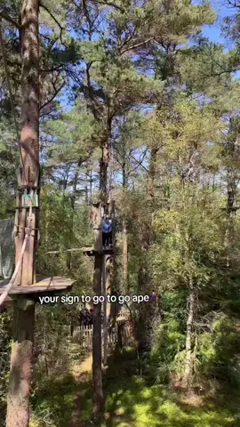 I love go ape 😝 #goape #friends #fyp #onthisday 