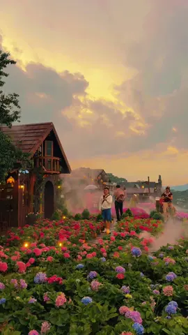 Đà lạt xuất hiện quán cafe với vườn hoa chill giữa núi đồi  Đi Cùng Mưa : Quán Cafe cạnh bến xe Liên Tỉnh Đà Lạt