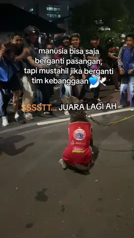 lagi sensii dia🤪👊 #bandung #persib #viking #thejakmania #champion #backtoback 