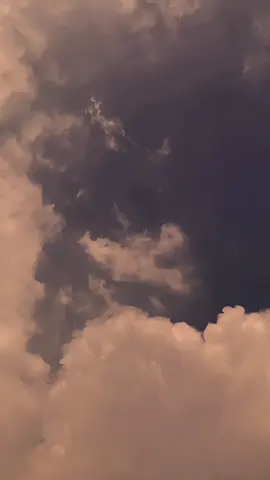 لا أبكي على تقصيري في الدنيا، ولكني أبكي على تقصيري في علمي الديني. 