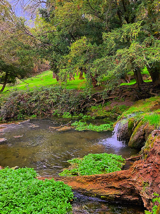 Ici c’est Ifrane  #aujourdhui #maroc #طبيعة #loveyou #إفران #خنيفرة_ازرو_ميدلت_بني_ملال_الحاجب #افران 