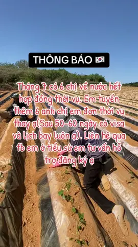 Thông báo cho đơn thời vụ Hàn Quốc 🇰🇷. Cơ hội không đến với ai nhanh tay liên hệ để em tư vấn nhé 🥰#hànquốc #xkldhanquoc #xklđhanquoc #thoivuhanquoc #visahanquoc #xkld #xklđ #xkldthoivuhanquoc #thờivụhànquốc 