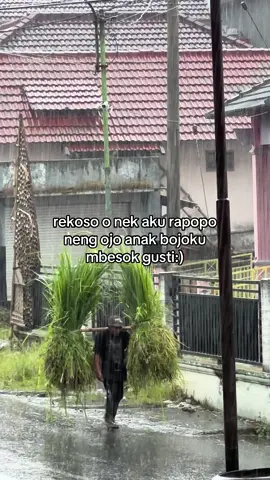Mugi” diparingi sehat #sobatngaret #peternakmuda #bcxyz #storytime #petanimuda 
