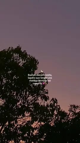 Buenos días señorita 💖✨ #paradedicar #buenosdías #dedicar #hermosa #fotyoupage 