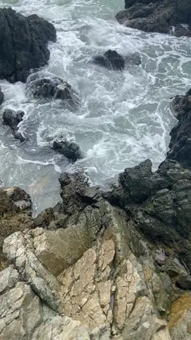 💨🍃#fypppppppppppppppppp 