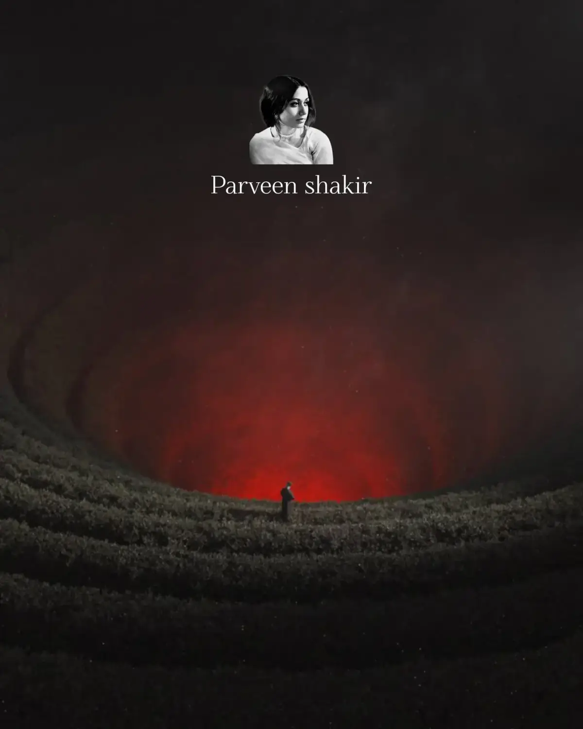 #lines #viral #poetry #poetrystatus #foryou #foryoupage #growmyaccount #trending #goviral #parveenshakir 