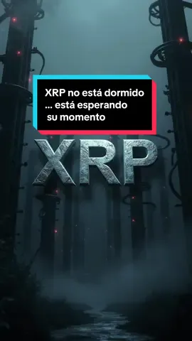 Mientras el mundo persigue el hype, los gráficos y las modas, hay una moneda que avanza en silencio, conectándose con bancos, gobiernos y sistemas que nadie está mirando. No es que no suba… es que no debe hacerlo todavía. Porque cuando se active, no será un crecimiento normal. Será una jugada premeditada. Y para entonces, el juego ya habrá cambiado sin avisar. #xrp #blockchain #cambiofinanciero #resert #paratiiiiiiiiiiiiiiiiiiiiiiiiiiiiiii #fyp #CapCut 
