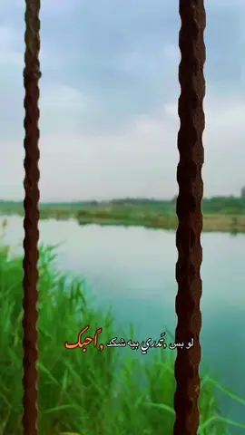 #تصويري📸 