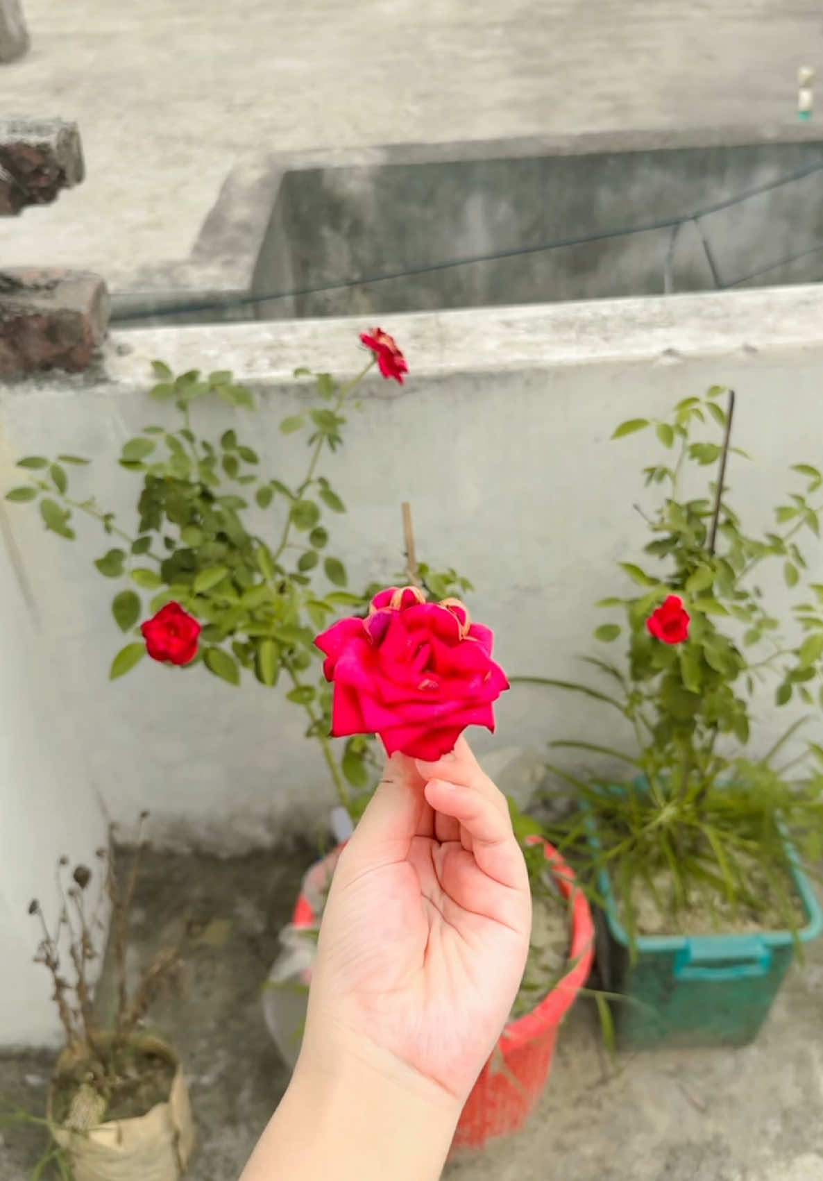 Hudai chirlam😢#foryou #fyp #viral #unfrezzmyaccount #onthisday #1millionaudition #viralvideo 