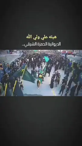 هجت فحول التنحلف  مواكب اهالي الديوانية الحمزه الشرقي #الدر_الحائر 