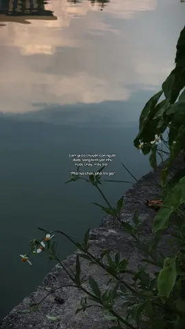 #tamtrang #fyp #xuhuong 