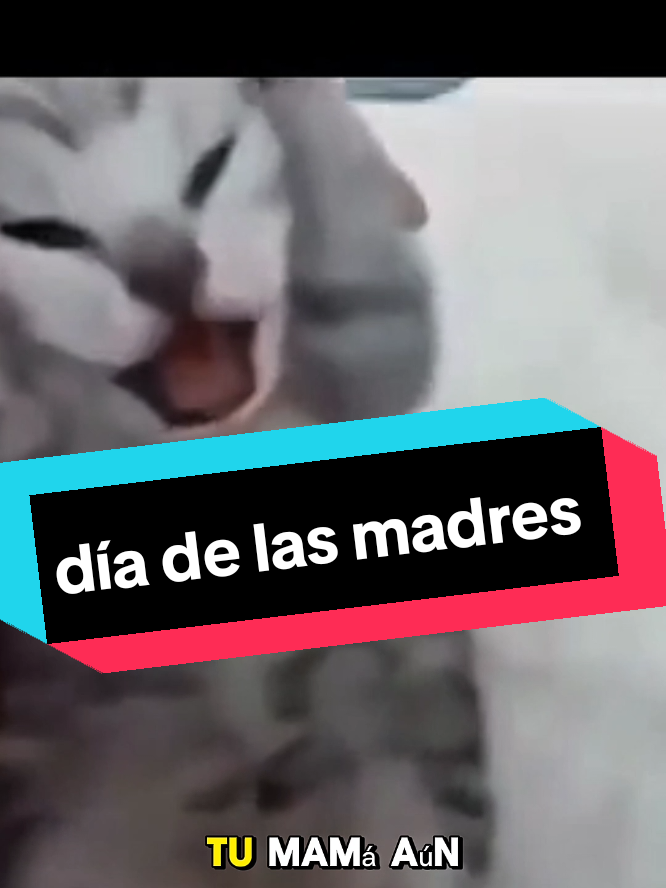 Feliz día de las Mamus #diadelamadre #10demayo #elailton 