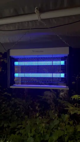 #bugzapper #killsbugs #bugs #insects #flys #moths #mosquitoes #pests #outdoor #camping #fishing #gathering #porch #patio #deck #firepit #compact #portable #tiktokmademebuyit 