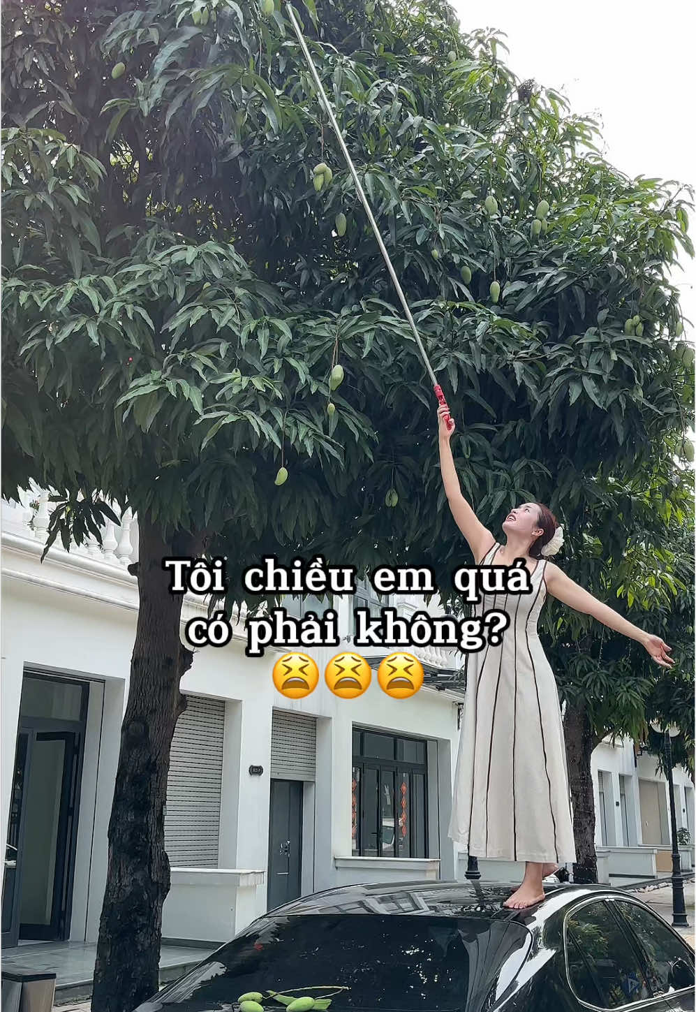 🙄🙄🙄 #Anhchongngoan @Nguyễn Thu Cúc 