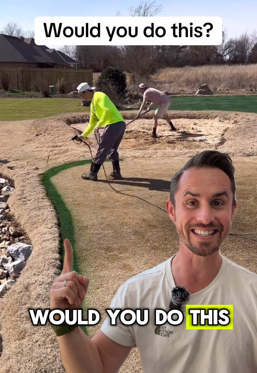 Would you paint your lawn? Thanks to @thelawntools for the video.