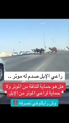 #اكسبلورexplore #الرياض #الإبل#
