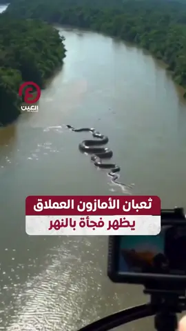 لحظة مرعبة.. عدسة كاميرا توثق  بالصدفة ظهور أناكوندا ضخمة في نهر الأمازون #عينك_على_العالم