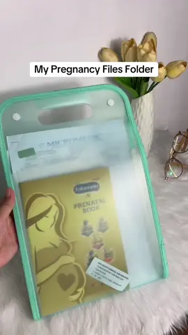 Organize your files mga mars 🗂️#affiliatemarketing #fyp #MomsofTikTok  #momlife #tiktokshop 