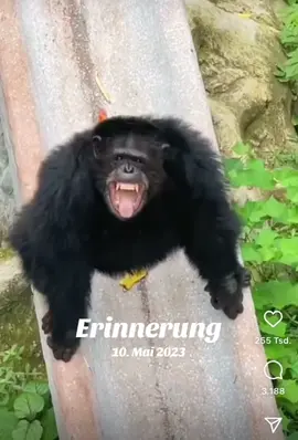 #erinnerung 