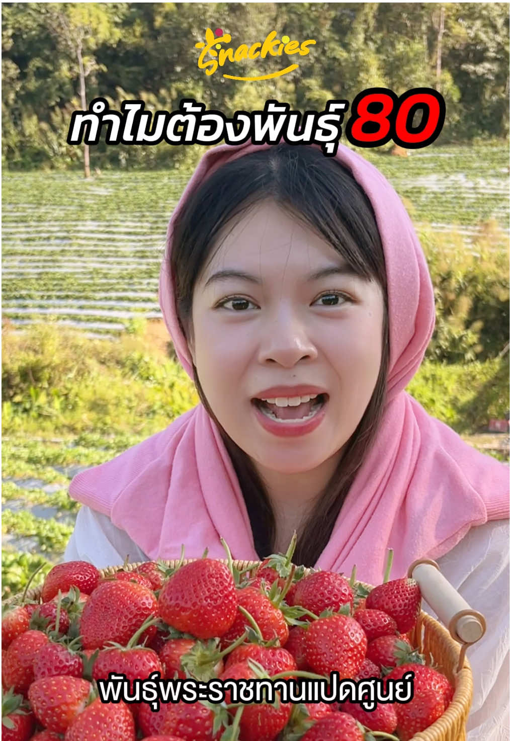 ทำไมต้องพันธุ์ 80🧐#snackies #snackiesth #สตรอเบอร์รี่ #สวนสตรอเบอรี่🍓 #fyp #ฟีดดดシ 
