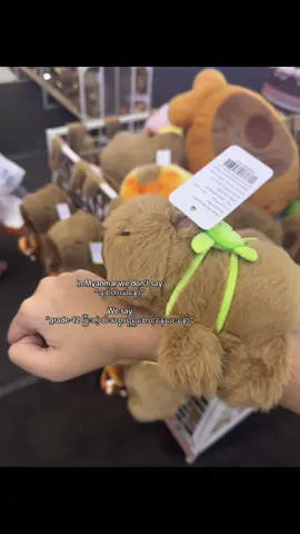 ၂ နှစ်တည်းပါအချစ်ကလေးရေ