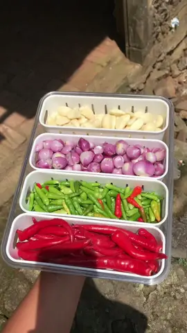 Food container yg aku pakai, bikin bahan makan awet didalam kulkas dan bikin kulkas lebih rapih dan bebas dari bau #foodcontainer #kotakpenyimpananserbaguna 