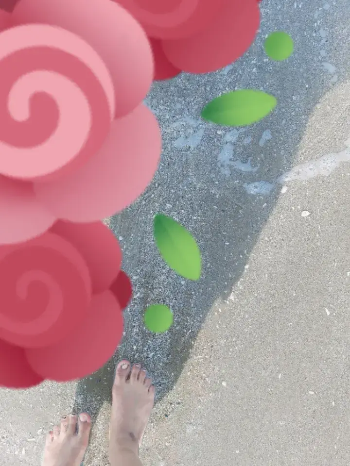 صوب البحر طشه