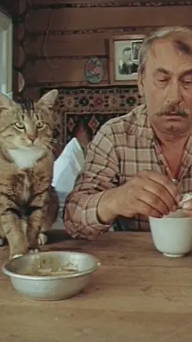 Избаловала тебя Советская власть! Прежде вас, котов, и вовсе не кормили, сами себе мышей добывали! 😁