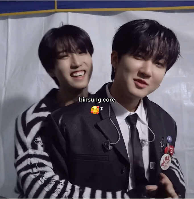 my binsung 🥺🥺 #changbin #han #skz #binsung 