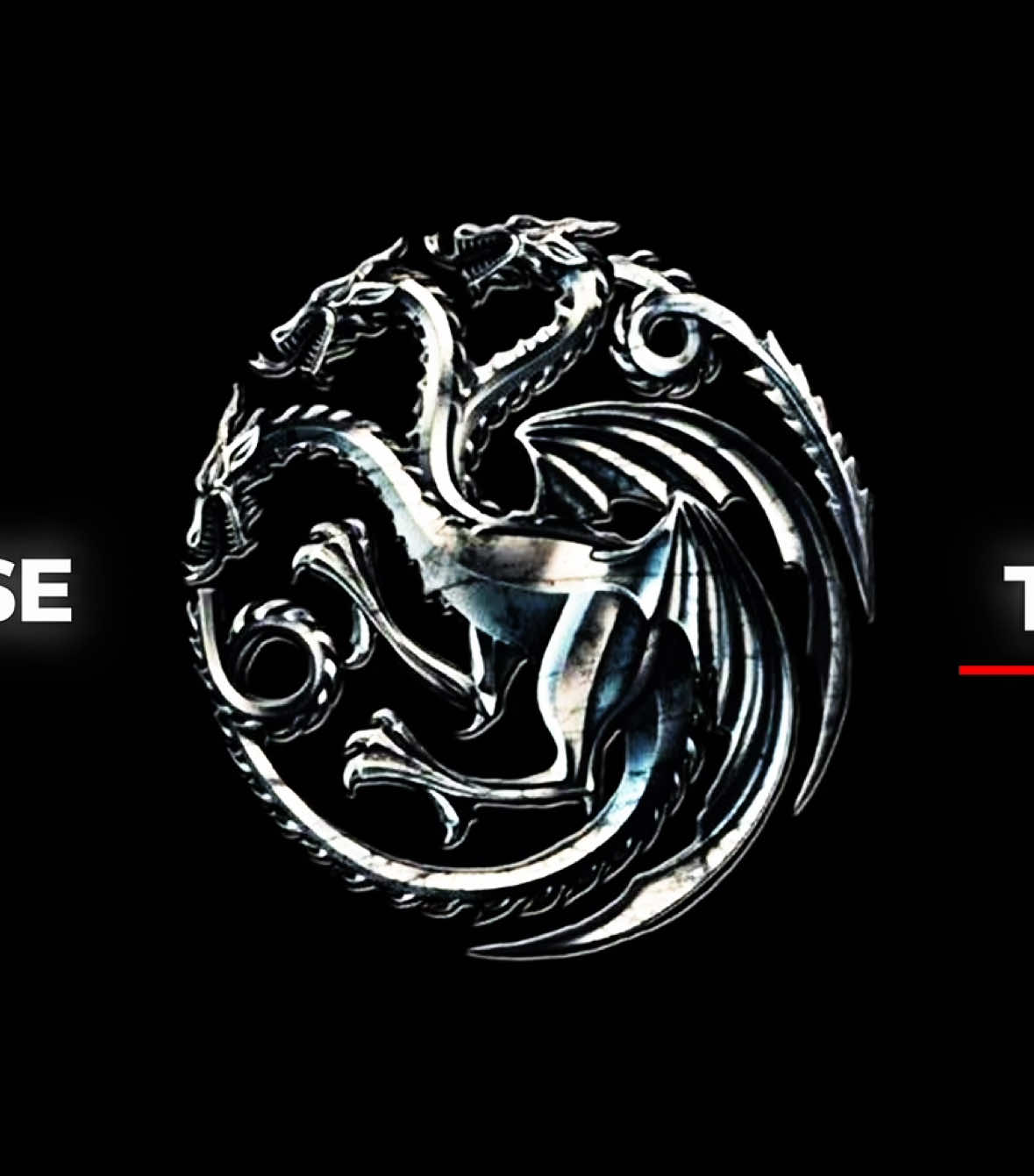 only house targaryen #gameofthrones #houseofthedragon #targaryen #propaganda #edit #fyp 