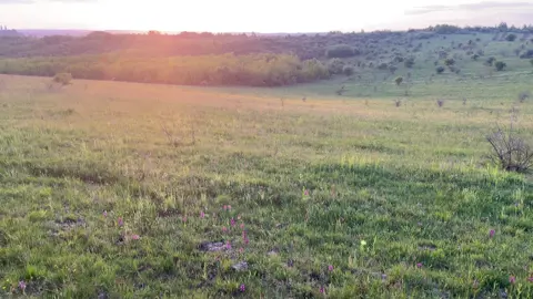 #nature #vibe #spring #naturevibes #peace #fyp #on 