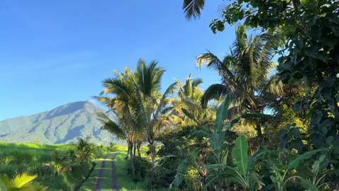 Kalian tahu tempat ini enggak?✨#viewcantik #balivibes #melalidibali #tabananbali #hitstiktok #fyppppppp 