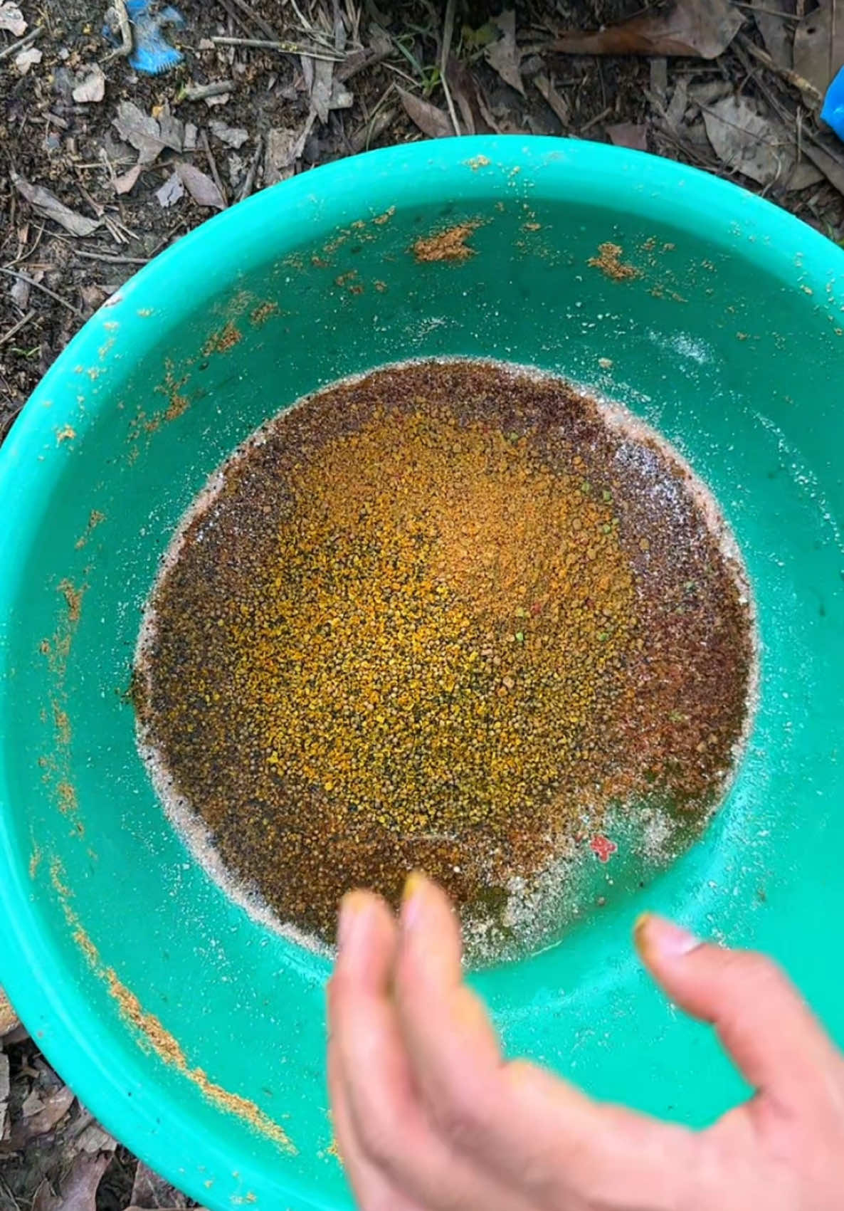 Cách pha mồi cám chép LK Hoà #mtfishing #cauca #caucagiaitri🎣 #caucagiaitri #hoàlk #camca 