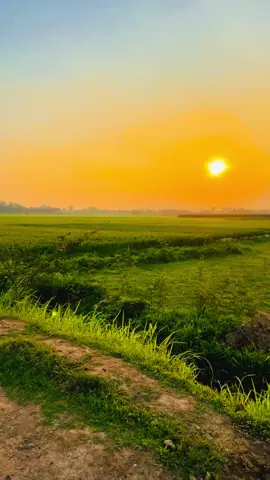 Nước qua cầu thời gian trôi mau. Nơi bền lâu là nơi lắng sâu. Thiếu quê hương ta về ta về đâu...!