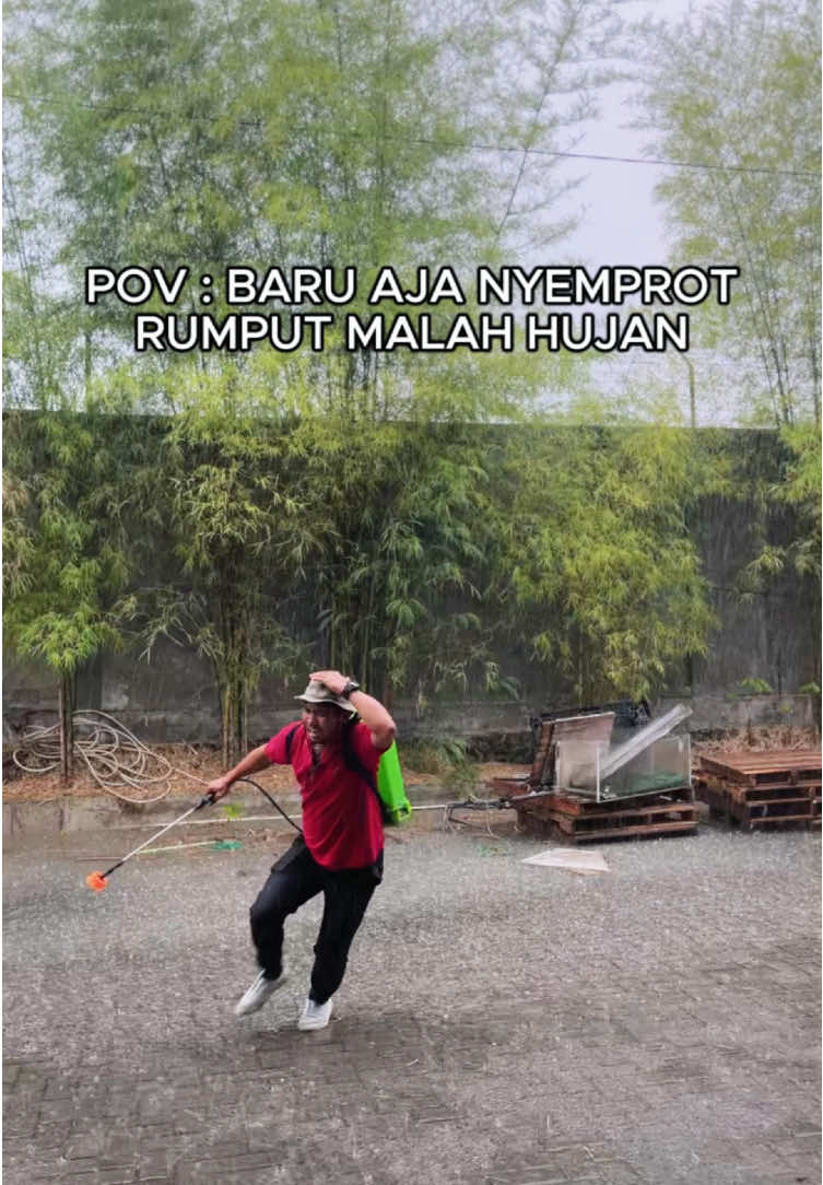 Pilih Herbisida Kontak Mr Quat 282SL 🌱⚡ Lebih kental, lebih pekat, hasil maksimal 👍🏻 #herbisida #racunrumput #pembasmigulma #racungulma #berantasgulma #herbisidamrquat #racunrumputmrquar #paraquat #racunbakar #racunkontakrumput #petaniindonesia #petanimuda #petanimilenial #herbisidamusimhujan #racunrumputviral #racunpembakarrumput #agrodynamicsid 