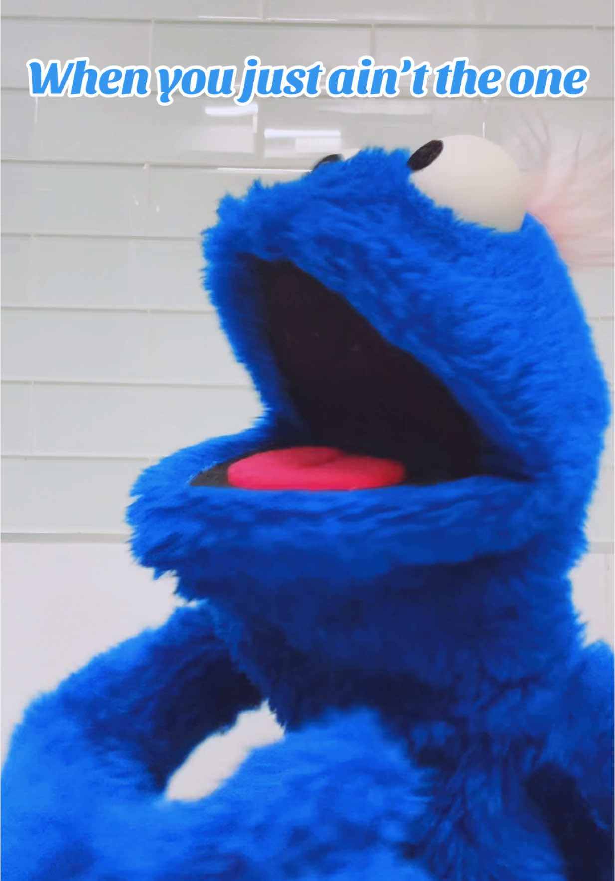 Like seriously wtf… #puppet #puppets #puppetsoftiktok #puppetry #puppeteer 
