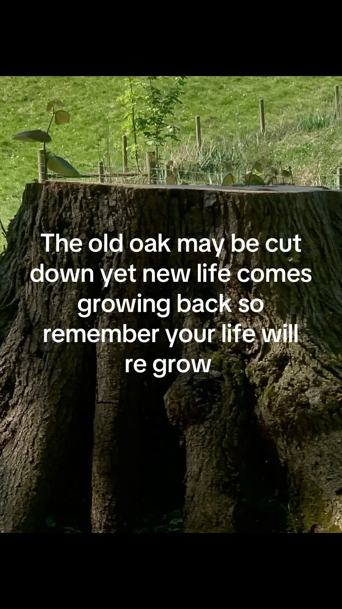 #tik_tok 
